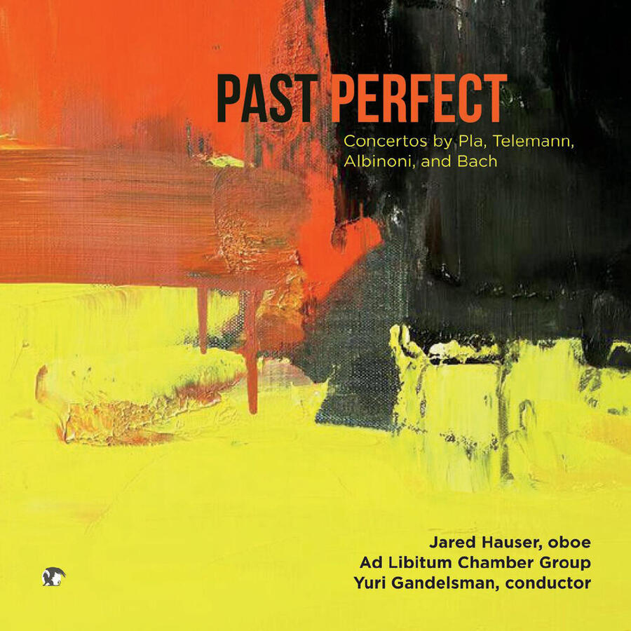 Past Perfect Past Perfect