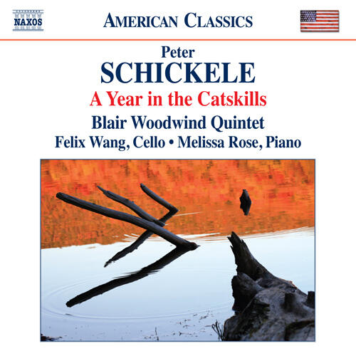 Schickelle Schickelle